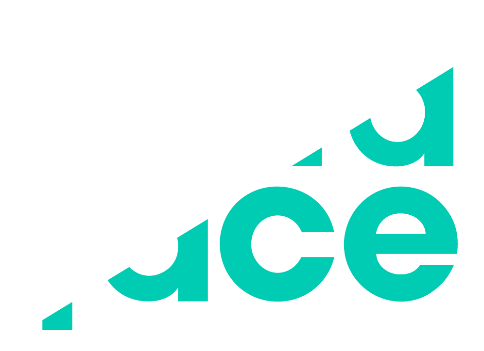 The DataFace